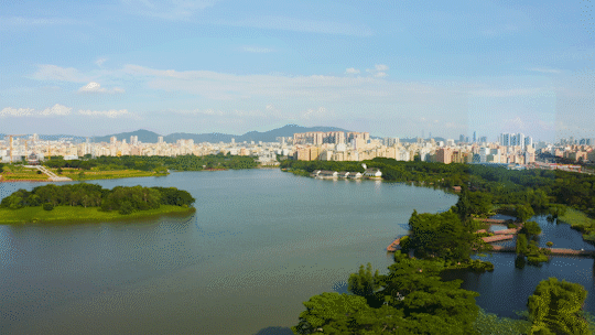 户型|楼市洗牌之年，它凭何穿透周期，逆市登顶？
