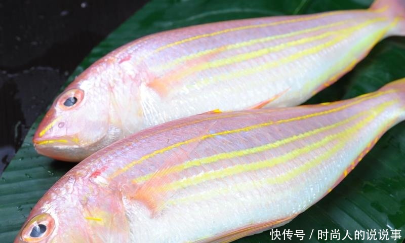 养殖|买海鱼时,这5种海鱼放心买,人工没法养,美味又营养!
