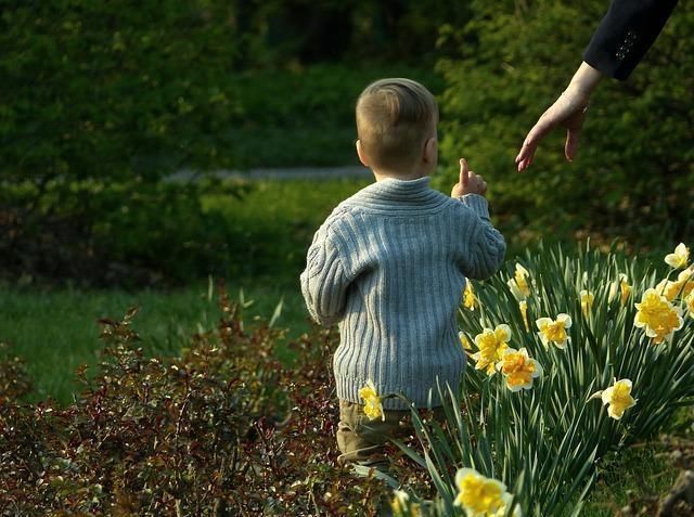 道德感|“31岁还是个孩子”:“巨婴式教育”能不能洗洗睡了