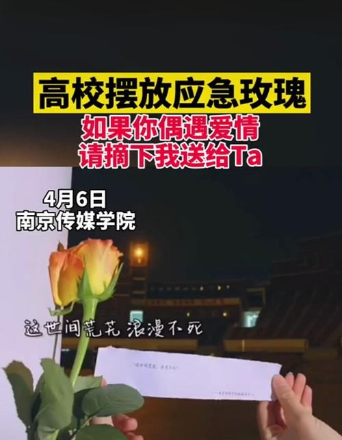 大学里摆放“应急玫瑰”，方便学生偶遇爱情送给对方，引网友争议