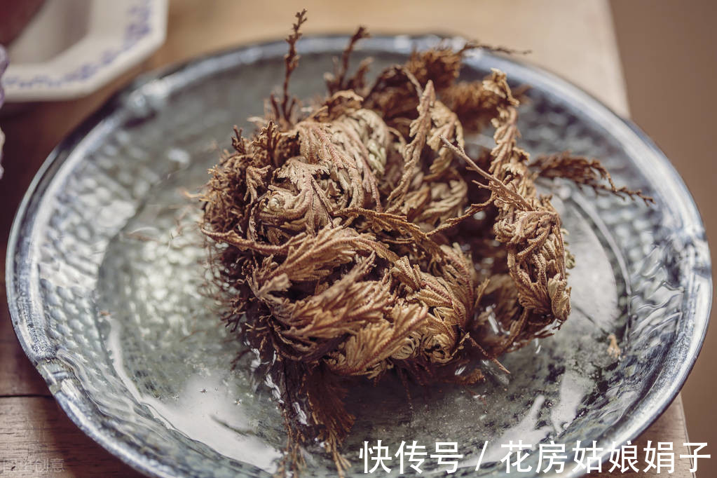 花卉|家居养花,有“2不养、3必养”,养对了,对家居生活才有益处