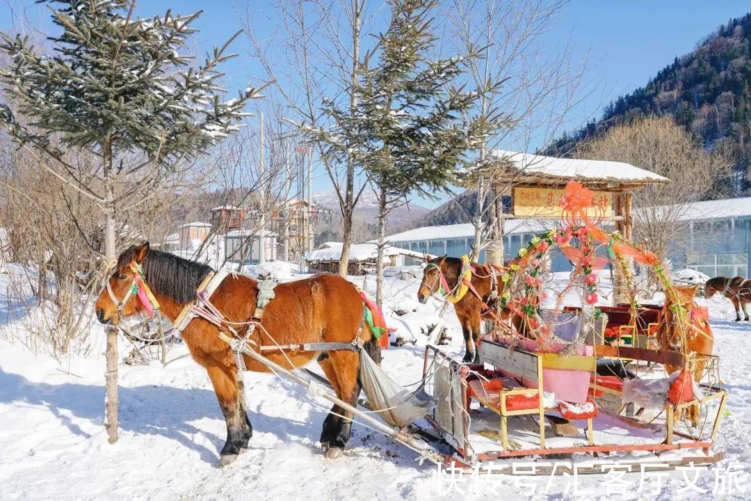 雪乡|没有雪的冬天，是没有灵魂的，而雪乡的雪是“暖”的