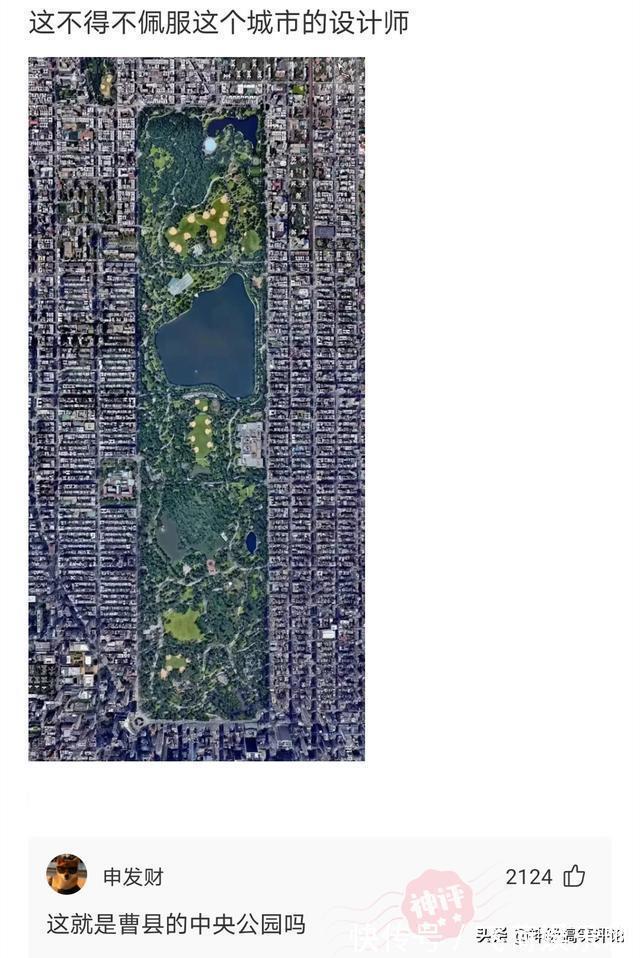 |今日搞笑神评:搞不明白,我到底是平胸还是胸大?太矛盾了