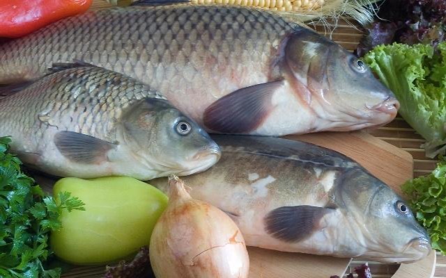 血小板|鱼肉虽营养 6类人群要少吃