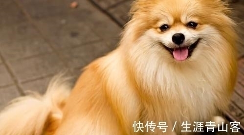 事业|2021年大运加身,天赐鸿运,事业有贵人指点,财源广进的生肖