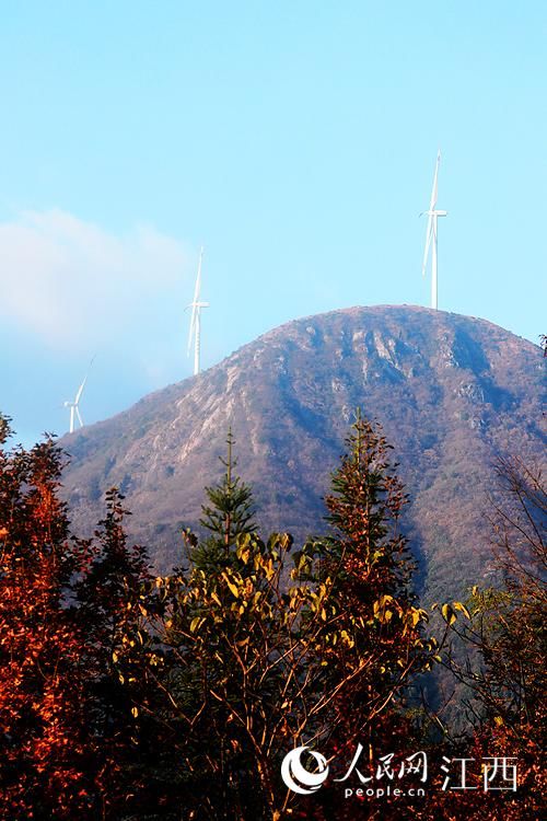 山村|江西乐安：山村冬色美