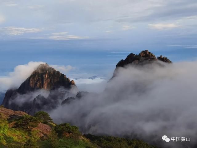 吴立新|云游雨后黄山 美景如画好似仙境