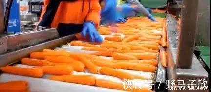 糠心|为什么超市的“胡萝卜”干净光滑菜贩子说出其中“猫腻”,越早清楚越好