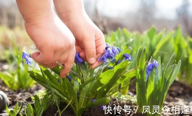 双子座|11月后，桃花闪烁，此生唯你，前缘已断，真心挽留，此生风雨同行