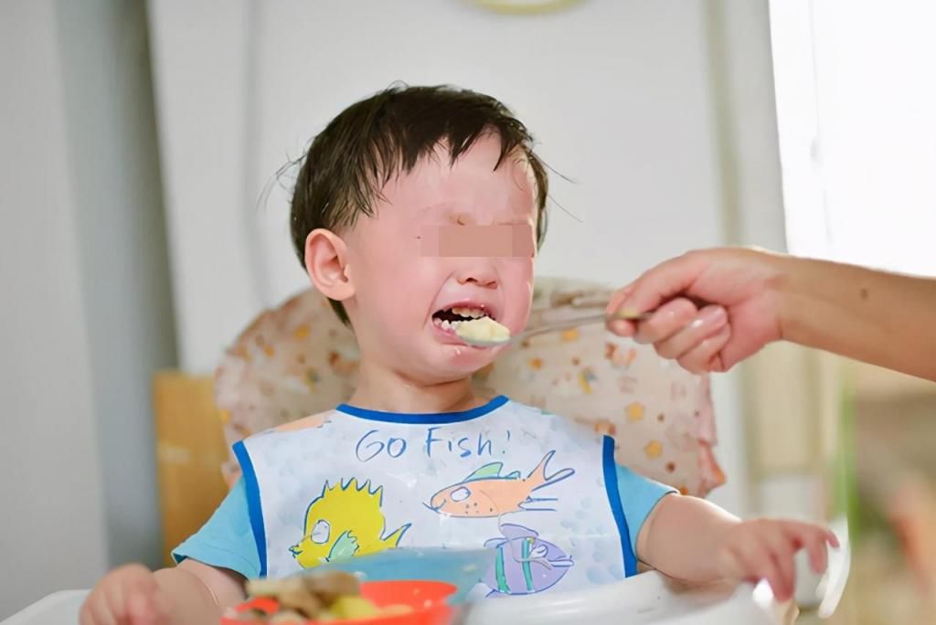 吃饭|孩子不好好吃饭，每顿都要哄着喂？家长反思下是否做到这两个方面