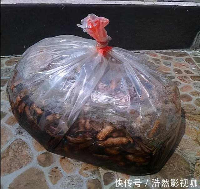 春节常见的3种“垃圾”是养花的好东西，家里有养花草不要浪费了