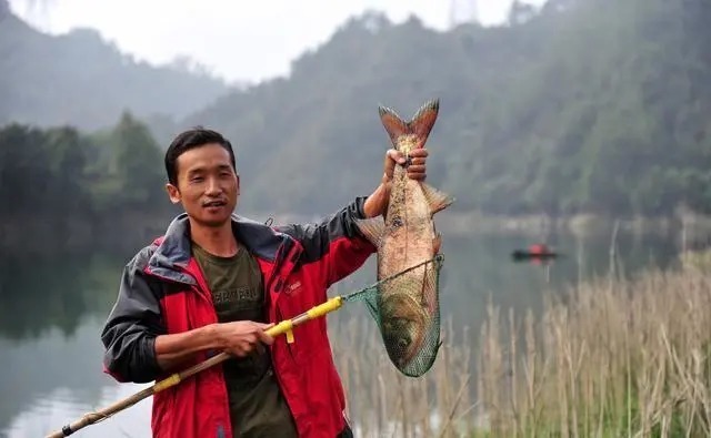 寒露前后钓鱼,唯独这套野钓法最管用