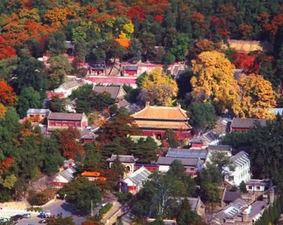 潭拓寺|京城最大皇家寺院，武警24小时把守于此，地位不一般