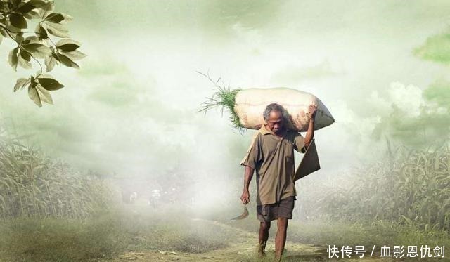 赌徒&老人说有三种可怜人不值得同情,同情他可能反受其害,要当心