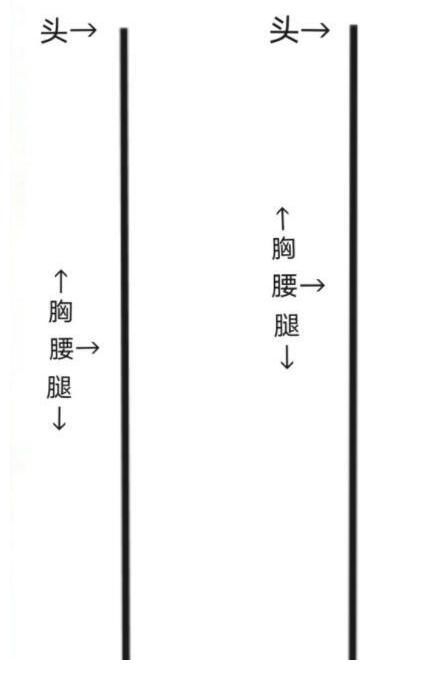 动漫|虽然二次元有身高差，但将每部动漫相同身高的人放一起，有点离谱