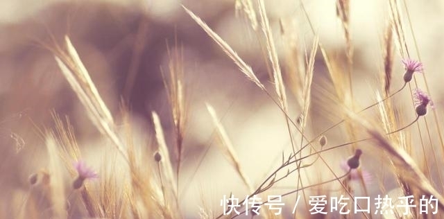 白羊座|九月底前，势头正盛的星座，爱情、事业双丰收，贵人扶持喜事多