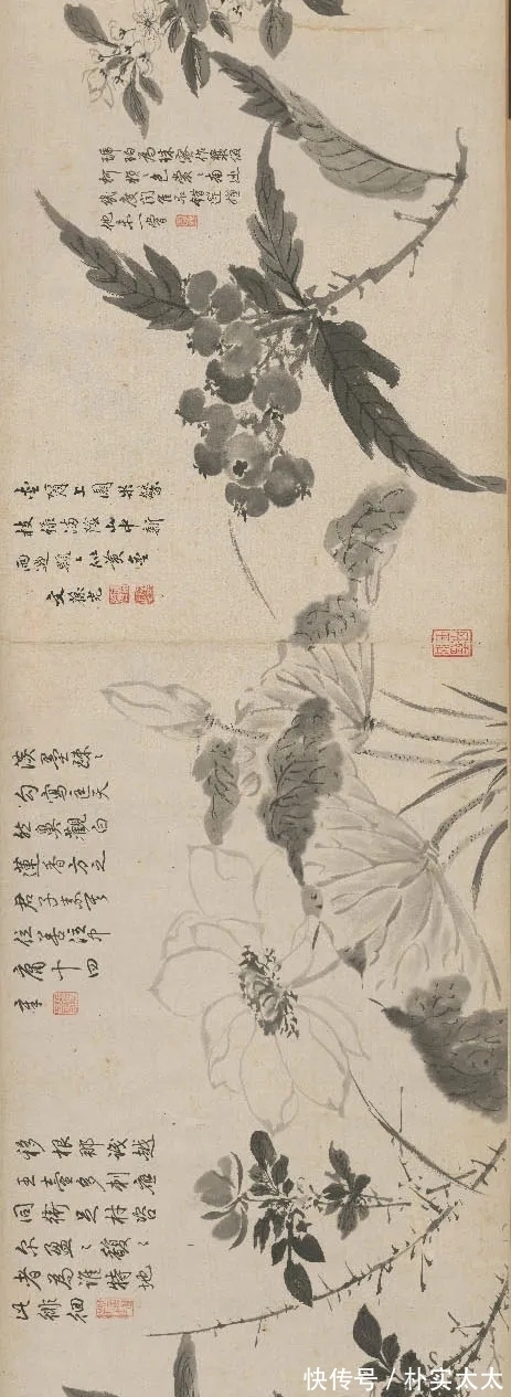 明代!周之冕|明代一位兼工带写的花鸟画家