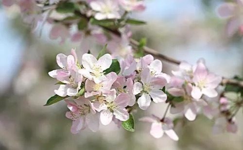 为人父母|一个家庭,想要家庭欣欣向荣,谨记这三件事