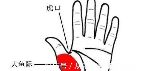 睡眠质量|手上这个“助眠区”,睡前按一按,催眠安神,助你沾床就睡不失眠