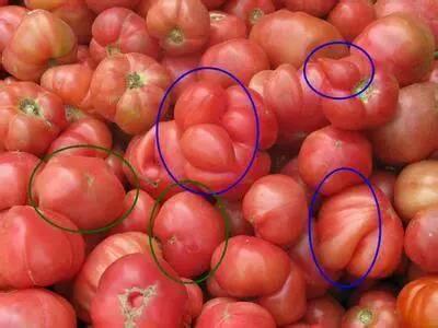 去菜市场买菜时，此种菜不要买，为了家人健康该清楚，别不在意