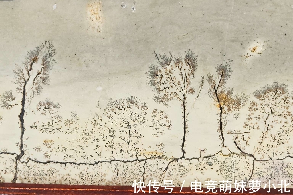 横看成岭|奇石品类并非都如日中天，这个品类本就劣势，但它则是最后的希望