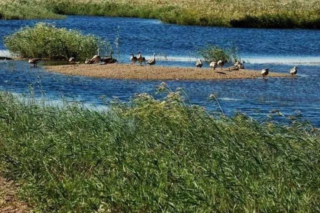 中国最美六大沼泽湿地，养在深闺无人识，去过的都惊叹不已