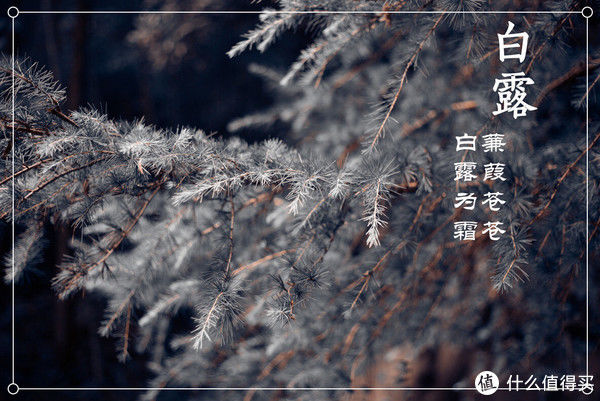 时节|节气美食 篇四十二：白露时节，有钱没钱，记得多吃“5样宝”，温和滋补，舒坦过秋天