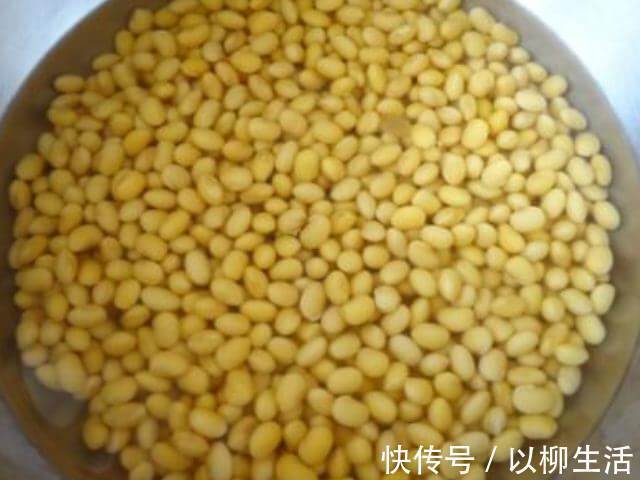 通乳散结|4物是天然的“黄体酮”,女人多吃消炎抑菌,或助你远离妇科病