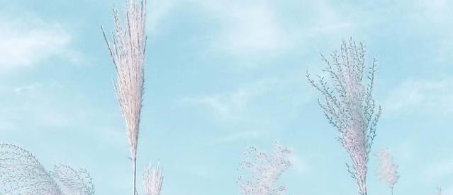 中国人!老祖宗最有智慧的四句话,背熟它,让你成功逆袭,做人生赢家