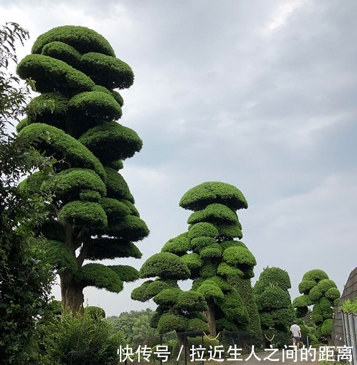 错觉|35张好像“游戏画面”的错觉照,奈良天空纯净的犹如宫崎骏的漫画