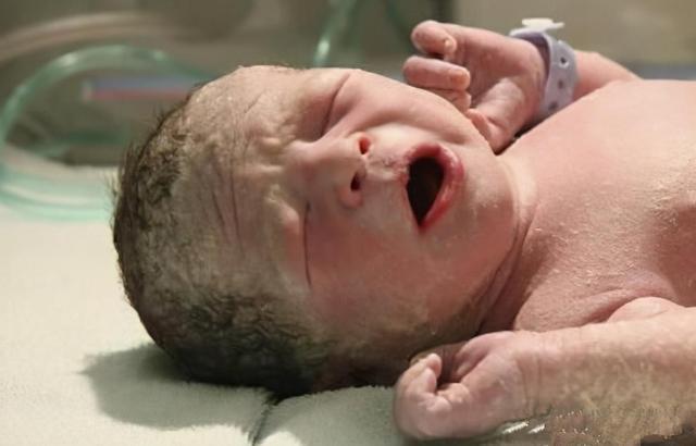 臭脸|“臭脸新生儿”走红网络,出生就带着怨气,网友:在娘胎里受气了