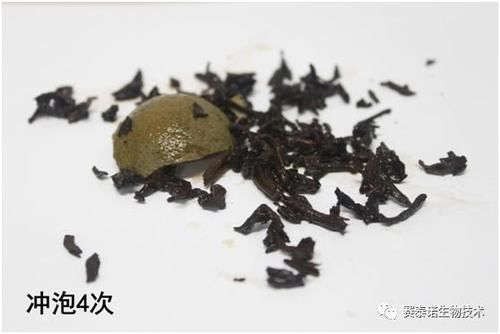 冲泡|你常喝的“小青柑”竟是“毒汤”?