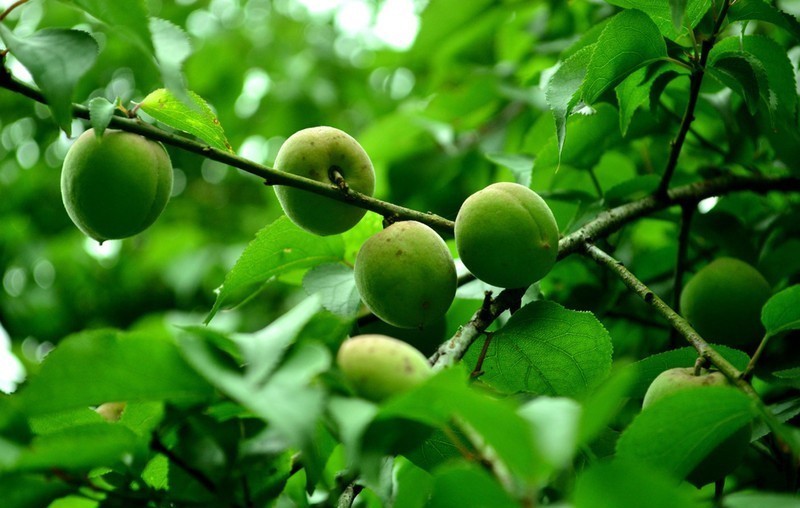 说瞎话|曹操睁眼说瞎话,士兵信了,不顾一切往前冲