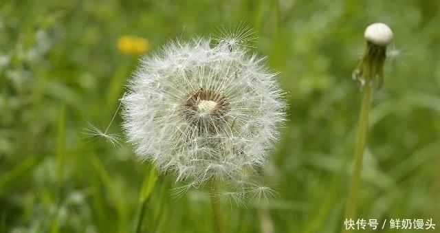 身体|有糖尿病的人,若有这些表现,或许身体在慢慢好转,不妨自测!