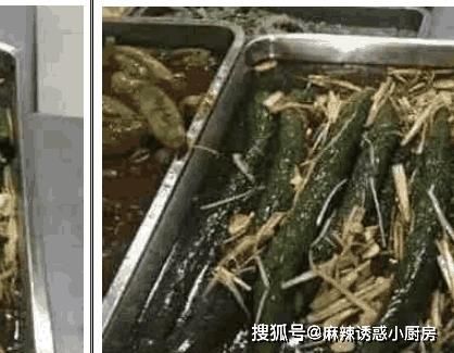 西红柿炒鸡蛋|食堂阿姨黄瓜整条烧，同学：还不如生吃，不会做饭就不要出来吓人