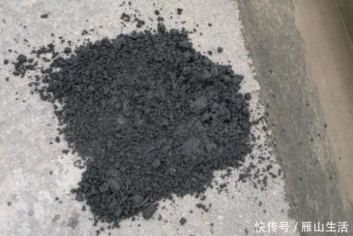 花肥|怎么调节、疏松土壤?巧用这2样,植物长势可轻松得到改善