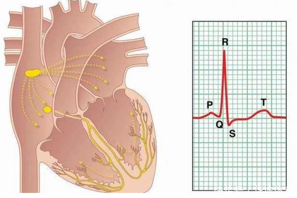 百歲老人長(zhǎng)壽定律，兩“管”兩“放”，可惜很多人都做不到！
