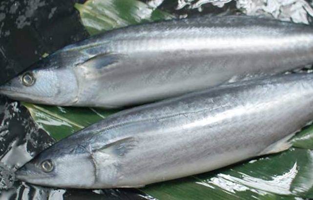 这鱼便宜又没刺，碰到别手软，一次买5斤，营养美味又消化！解馋