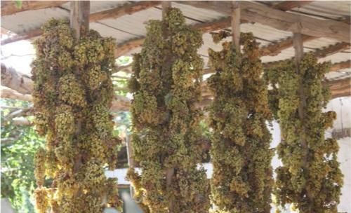  真的|葡萄干的“另类”吃法，网友：真的是太美味啦！快来试试吧！