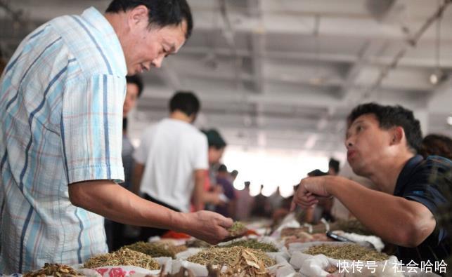 吃黄精——可以黑发,补肾,抗衰老抗疲劳,养生