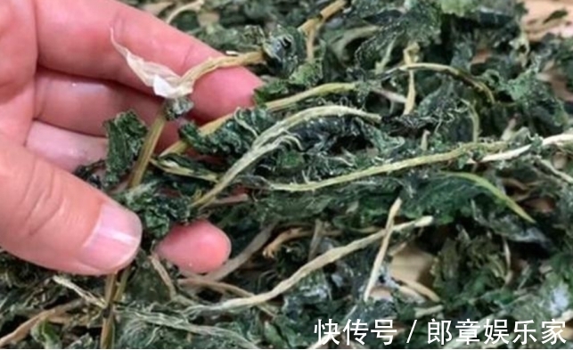 萝卜|很多人只吃果肉，其实叶子才是宝贝，如今正当季，不懂吃可惜了