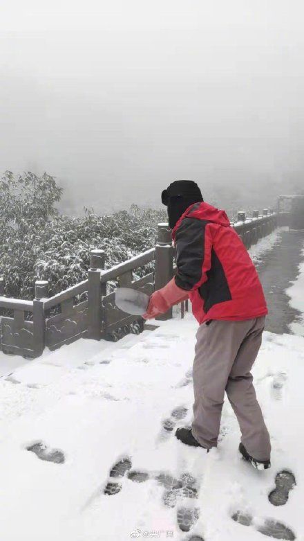 金佛山|重庆金佛山迎来12月首场大雪