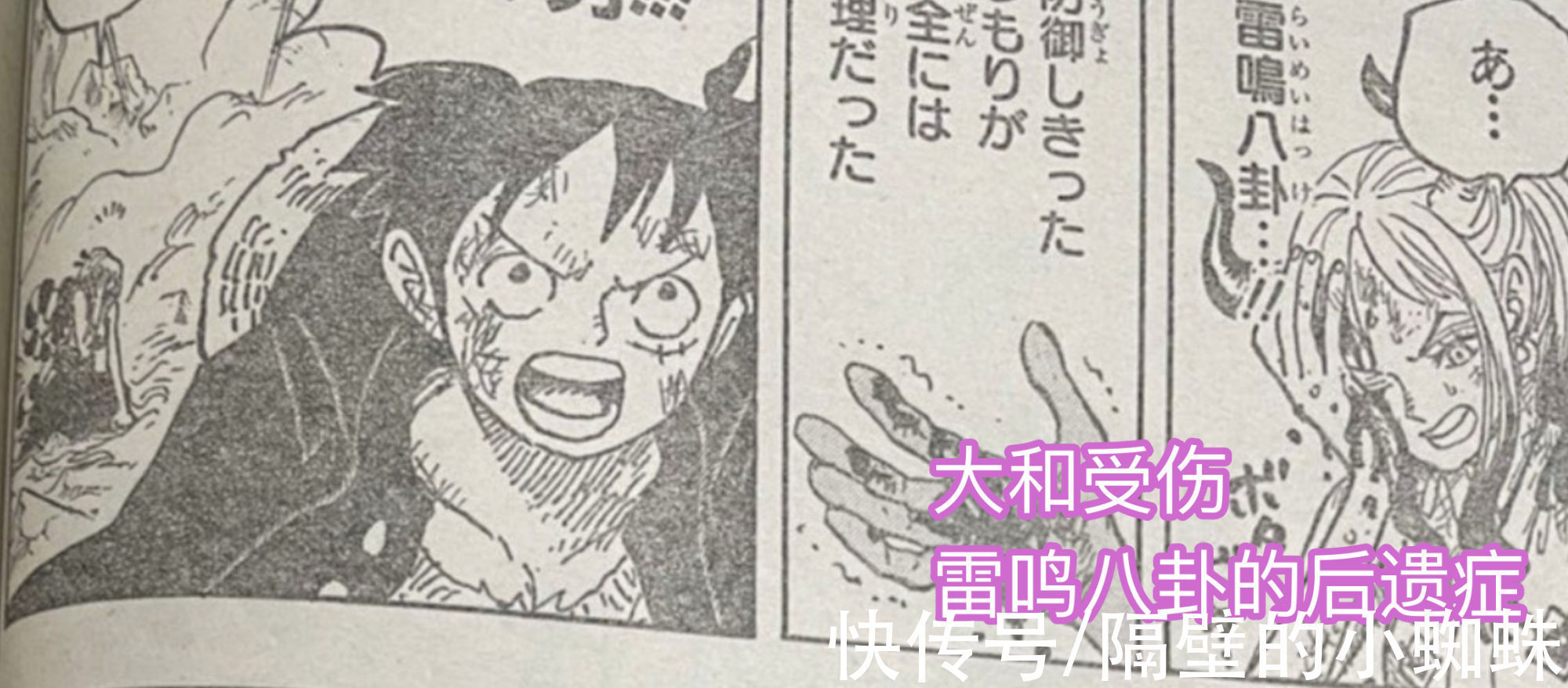 路飞|海贼王1027话,害怕狮子的香克斯好可爱,烬居然想砍了奎因