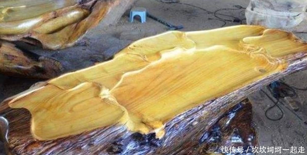 木头|农村这罕见的树木,它曾是皇帝的御用树,现如今想找到都困难!