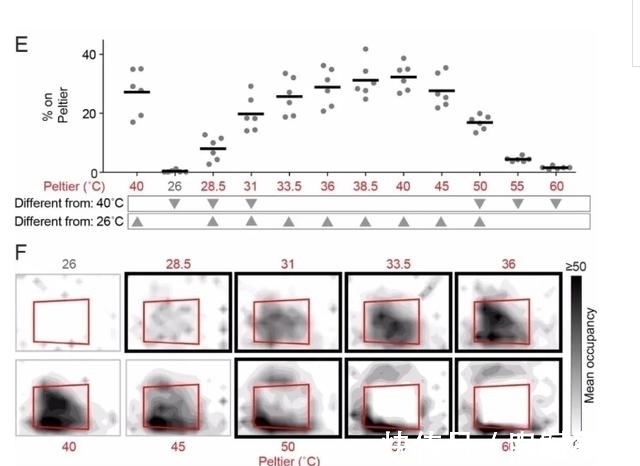 乳酸|被蚊子“选中”的宝宝,是因为甜度高吗?蚊子的口味其实是这样的