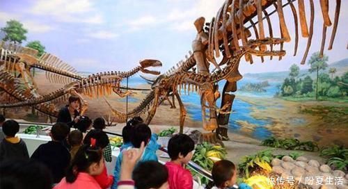 家长|多带孩子去三个地方，智商和情商都蹭蹭往上涨，家长还不花钱