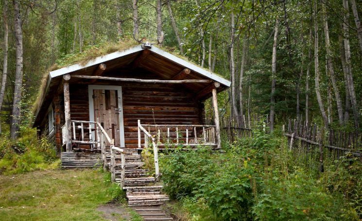 旅游|导游告诫：去俄罗斯旅游，如在森林中看到小木屋，最好不要靠近！