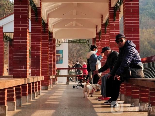 游湖登山春好处，到北岭山森林公园踏春去