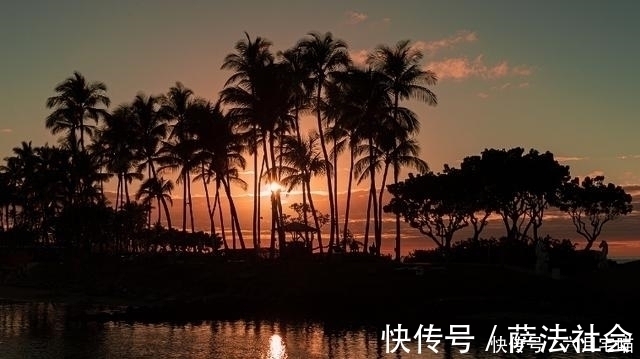 狮子座|一言九鼎,稳如泰山的三大星座,卓尔不凡做人,积厚成器做事