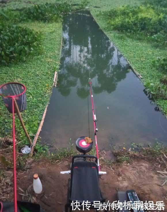 饵料|钓鱼小药并不神秘,自制比买的还要好,大部分自家厨房就有